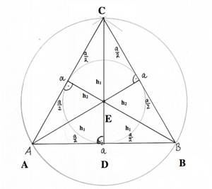 Höhen im gleichseitigen Dreieck